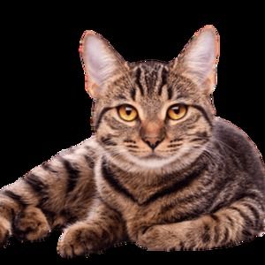 Meet your Posher, Kailey